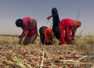 الحرب الأمريكية على إيران تشكل تهديدا للزراعة في السودان الحرب الأمريكية على إيران تشكل تهديدا للزراعة في السودان
