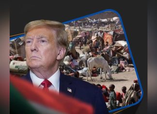 الفشل الأميركي ومأزق الهدنة في السودان الفشل الأميركي ومأزق الهدنة في السودان