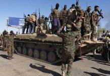 الجيش يحشد لاستعادة الكرمك بعد سيطرة الدعم السريع عليها الجيش يحشد لاستعادة الكرمك بعد سيطرة الدعم السريع عليها