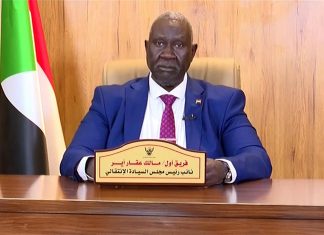 مالك عقار: خيارنا حاليا هو الحسم العسكري مالك عقار: خيارنا حاليا هو الحسم العسكري