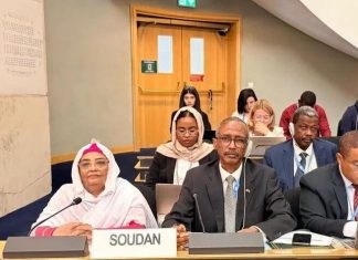النائب العام بالسودان: الدعم الخارجي للدعم السريع يطيل أمد الحرب النائب العام بالسودان: الدعم الخارجي للدعم السريع يطيل أمد الحرب