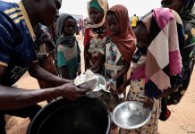 20 مليون سوداني يواجهون المجاعة وسط انتهاكات ”الدعم السريع” 20 مليون سوداني يواجهون المجاعة وسط انتهاكات ”الدعم السريع”