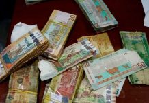 الجنيه السوداني يهوي أمام الدولار الجنيه السوداني يهوي أمام الدولار