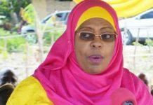 Zanzibar’s sixth Mapinduzi Trade Fair in offing