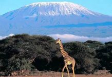 Regional leaders urged to market tourist attractions