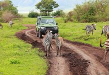 ISRAELI DOCTORS OUT TO MARKET DAR TOURISM