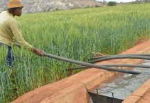EMPHASIS PUT ON IRRIGATION GUIDELINES