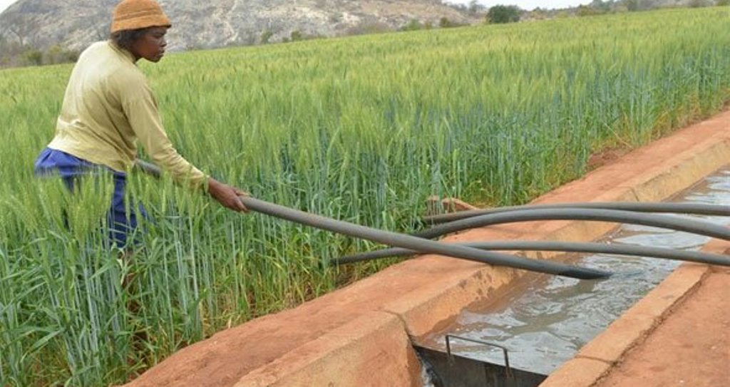 EMPHASIS PUT ON IRRIGATION GUIDELINES Tanzania