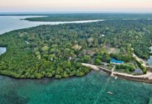 MAFIA SET TO CARRY OUT LAND SURVEY