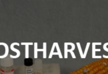 400 YOUTHS TO BENEFIT FROM POST-HARVEST SKILLS TRAINING