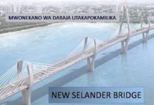 NEW SELANDER BRIDGE LIKELY BY OCT, 2021