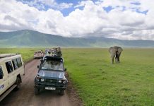 SERENGETI DECLARED SECOND MOST PREFERRED DESTINATION FOR 2021