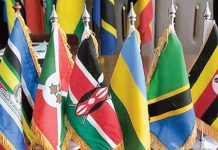 ACCOUNTANTS, AUDITORS TO OFFER FREE SERVICES