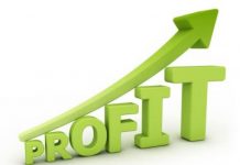 DAR BANK NETS 43 PC PROFIT