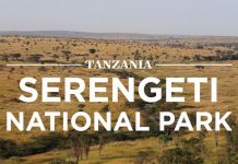 HUNTING GUIDELINES IN OFFING -KANYASU