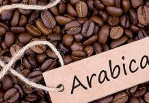 TADB THROWS WEIGHT BEHIND MUSOMA COFFEE