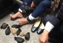 REPS WANT KMKM TO HANDLE SMUGGLING CASES