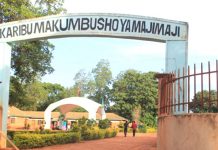 113 YRS OF MAJIMAJI WAR PROMOTES SOUTHERN REGIONS CULTURAL TOURISM