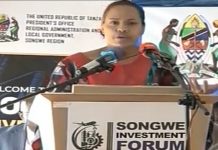 SONGWE HAS PRIME INVESTMENT OPPORTUNITIES, SAYS MINISTER