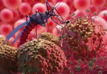 ZANZIBAR ACTS TOUGH ON MALARIA