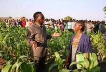PINDA URGES TANZANIANS TO INVEST IN AGRICULTURE