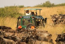 BOOM AS ITALIAN TOURISTS SET TO VISIT TANZANIA THIS YEAR