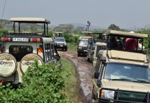 ATC TO START SPECIAL SAFARI DRIVING COURSES IN AUGUST