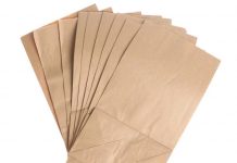 TANZANIANS URGED TO USE PAPER BAGS, PROMOTE LOCAL INDUSTRIES