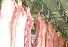 CITY COUNCIL ALLOCATES OVER 380M/-TO CONSTRUCT PIG ABATTOIR