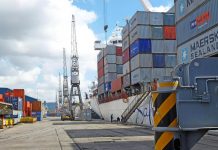 MODERN EQUIPMENT PROMPTS MORE WOMEN TO GET PORT JOBS