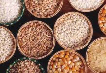 RAISE GRAINS’ COLLECTIONS, TAP BLOC MARKETS, NFRA TOLD