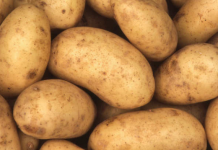State, Holland strike potato-linked contract