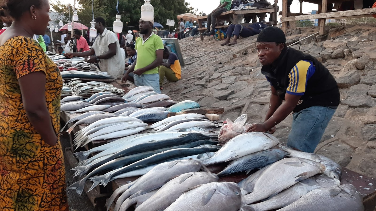 FERRY FISH MARKET SUPPLY LOW DUE TO POOR FISHING TECH Tanzania