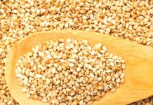 SESAME SALES SET TO START