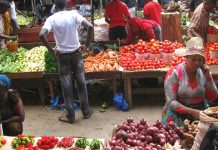 MULTI-COUNTRY PROJECT TO BOOST FOOD PRODUCTION