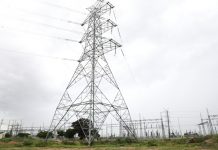 ‘NO MORE TIME FOR ZUZU PROJECT’