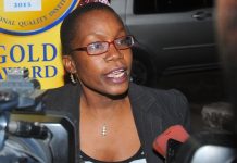 BREWER TARGETS WIDER MARKET