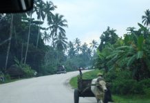 POOR ROADS SOURCE OF A LOT OF CONCERN