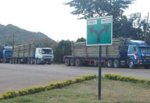 HOLILI/TAVETA POST BECOMES OFF-LIMITS TOO