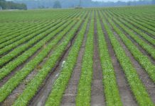 NHIF TO PROVIDE FARMERS WITH HEALTH COVERS