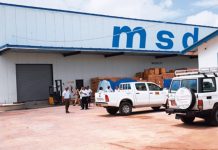 WHY MSD CARRIES NATIONAL FLAG IN SADC BLOC