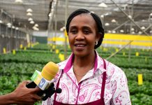 ACT: FIFTH PHASE 2020/21 BUDGET PRO-AGRI DEVELOPMENT