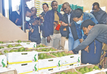 ANTI-DRUGS BATTLE REGISTERS SUCCESS