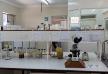 VETERINARY LAB EYES GLOBAL CERTIFICATION