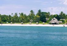 MAFIA TOURISM EXPO WEEK IN PIPELINE