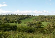 MINISTER URGES COUNCILS TO SET ASIDE INVESTMENT LAND