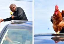 WORKS MINISTRY RILES JPM