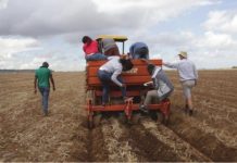 ACCESS INTEREST FREE TRACTOR LOANS, NDC TIPS FARMERS