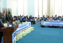 TZ: LET US COMBAT TERRORISM SERIOUSLY