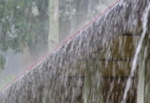 LET’S UTILISE NEW STUDY FINDINGS ON SHORT RAIN PATTERNS IN EAST AFRICA